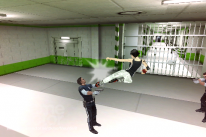 Mirror's Edge (mobile)