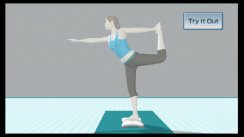 Wii Fit