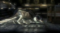 Mass Effect