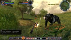 The Lord of the Rings Online: Shadows of Angmar