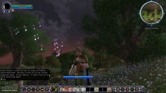 The Lord of the Rings Online: Shadows of Angmar