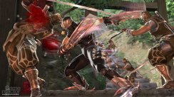 Ninja Gaiden II