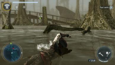 Assassin's Creed III: Liberation