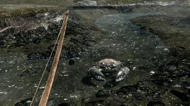 The Elder Scrolls V: Skyrim