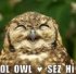 NiteOwlx