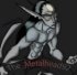 The_Metalhead92