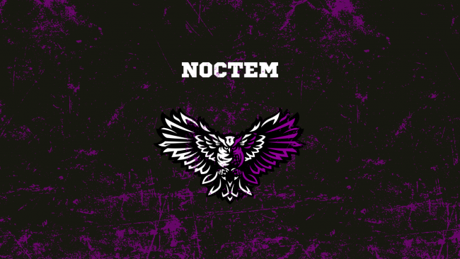 Den brittiska organisationen Noctem Esports lägger ner