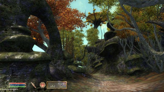 The Elder Scrolls IV: Oblivion: Shivering Isles