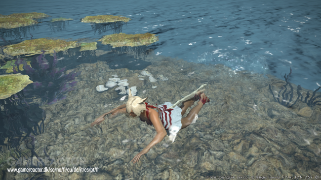 Final Fantasy XIV: A Realm Reborn