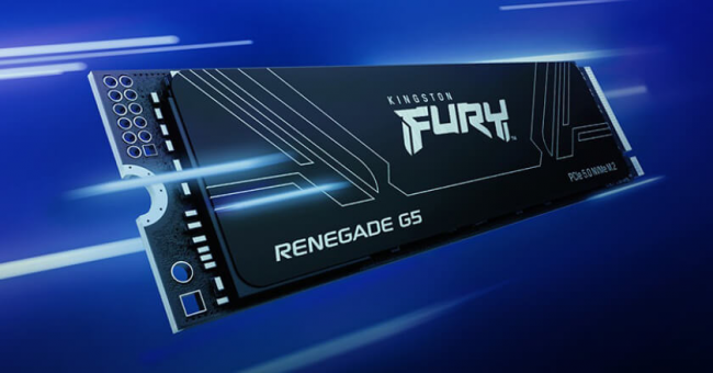 Kingston Fury Renegade G5