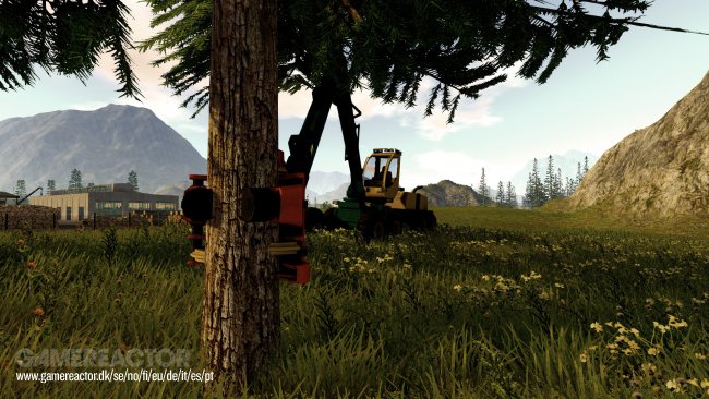 Forestry 2017