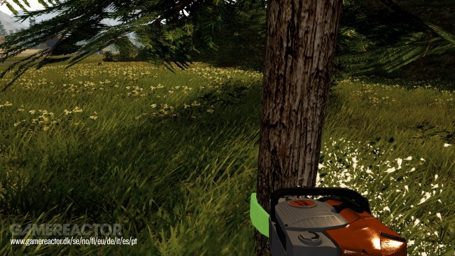 Forestry 2017