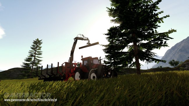Forestry 2017