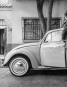 Roma (Netflix)
