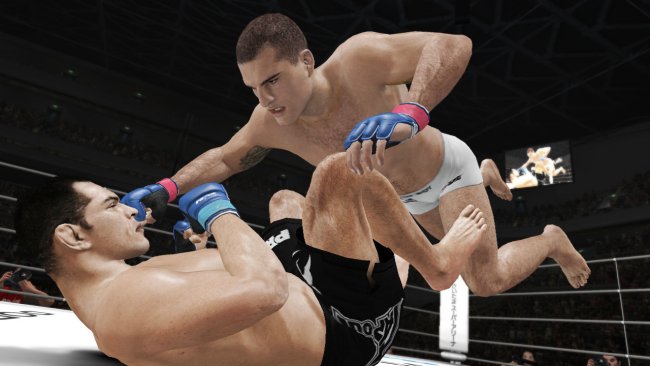 UFC Undisputed 3