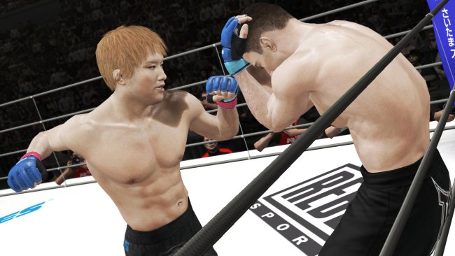 UFC Undisputed 3