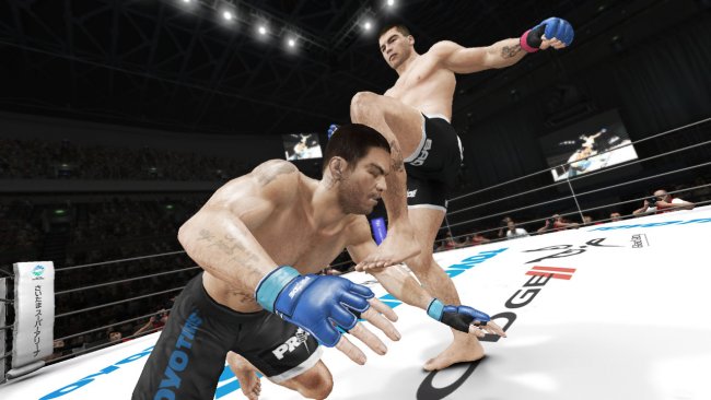 UFC Undisputed 3
