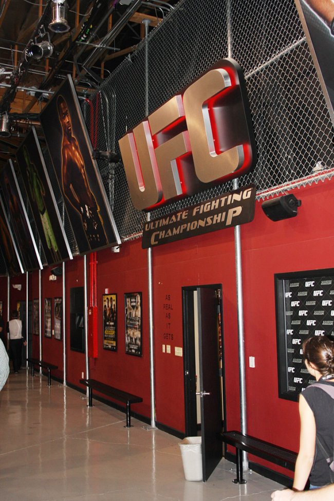 UFC Undisputed 3
