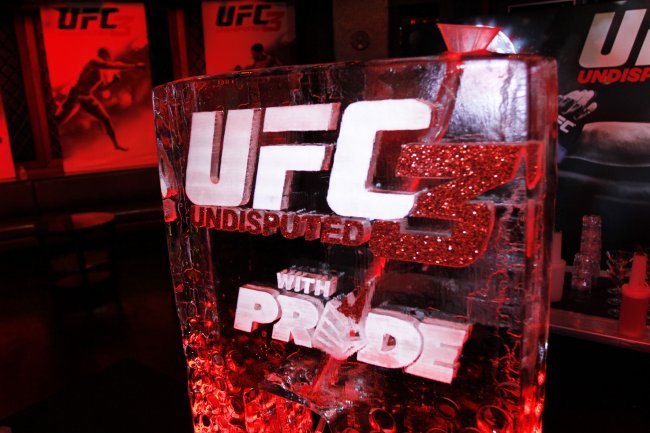 UFC Undisputed 3