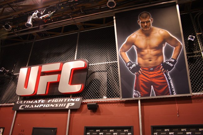 UFC Undisputed 3