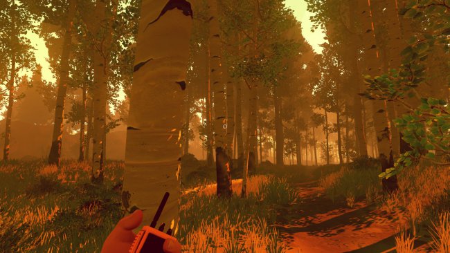 Firewatch