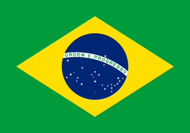 Förra året sjönk Brasiliens avskogning till sin lägsta nivå sedan 2019