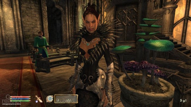 The Elder Scrolls IV: Oblivion: Shivering Isles