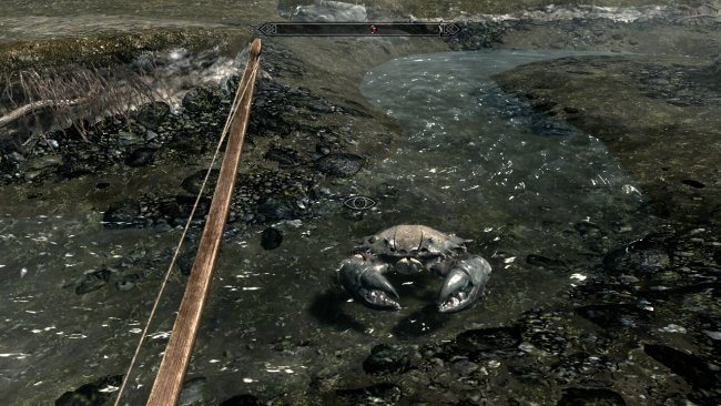 The Elder Scrolls V: Skyrim