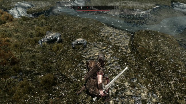 The Elder Scrolls V: Skyrim