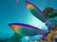 Gömd tidskapsel i Subnautica innehåller screenshots i från uppföljaren