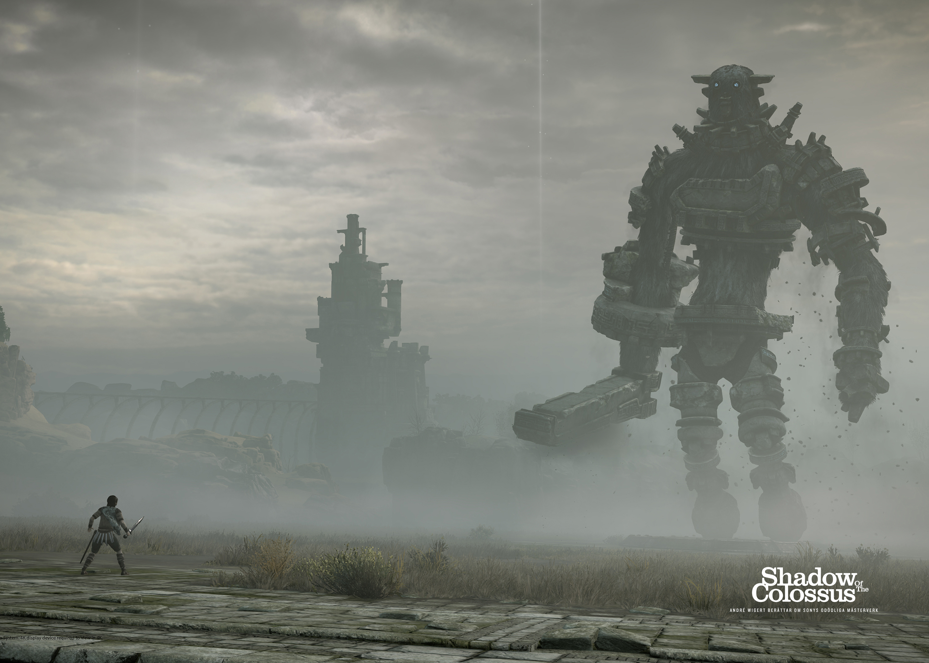 Shadow of the Colossus (2005)