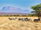 Turister befarade d&ouml;da efter helikopterkrascher n&auml;ra berget i norra Kenya