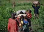 Krisen i Burundi: &Ouml;ver 60 000 flyr v&aring;ldet i Kongo