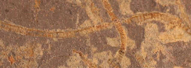 Forskare upptäcker spår av fotosyntetiskt liv som är 1 miljard år äldre än tidigare känt