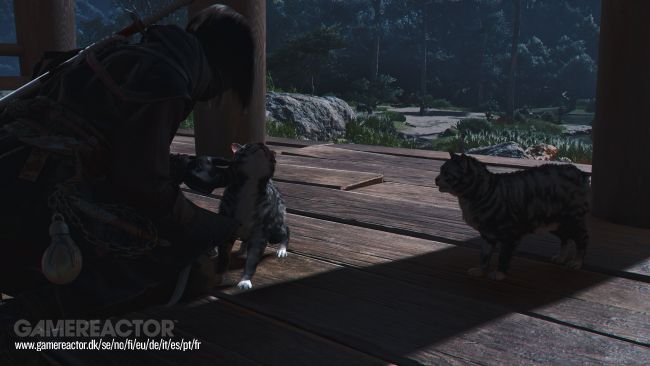 Assassin's Creed Shadows