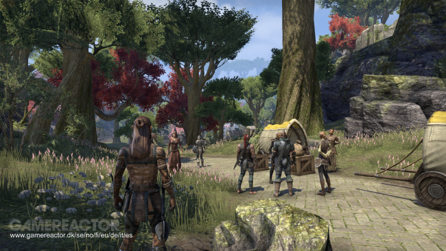 The Elder Scrolls Online