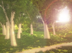 The Sacred Hero är en kommande Nintendo Switch-titel