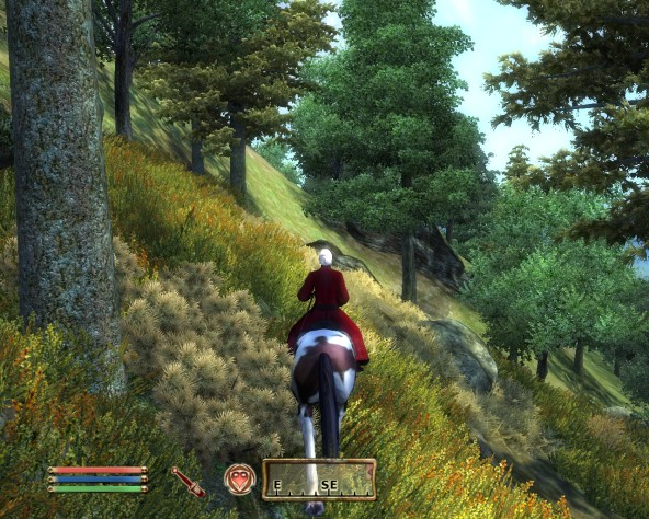 The Elder Scrolls IV: Oblivion