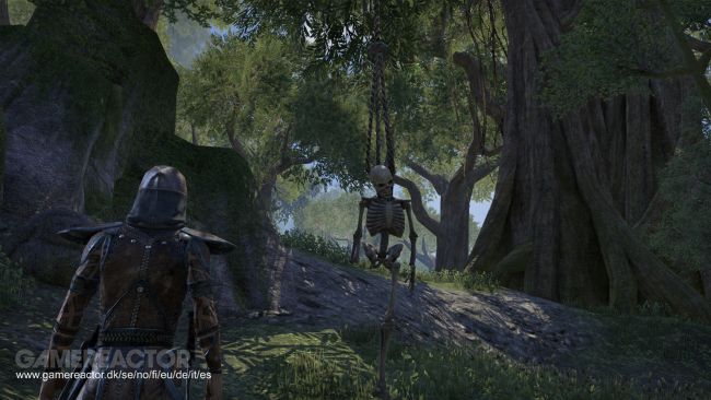 The Elder Scrolls Online