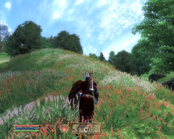 The Elder Scrolls IV: Oblivion