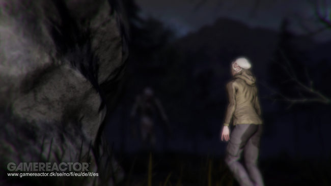 Through the Woods