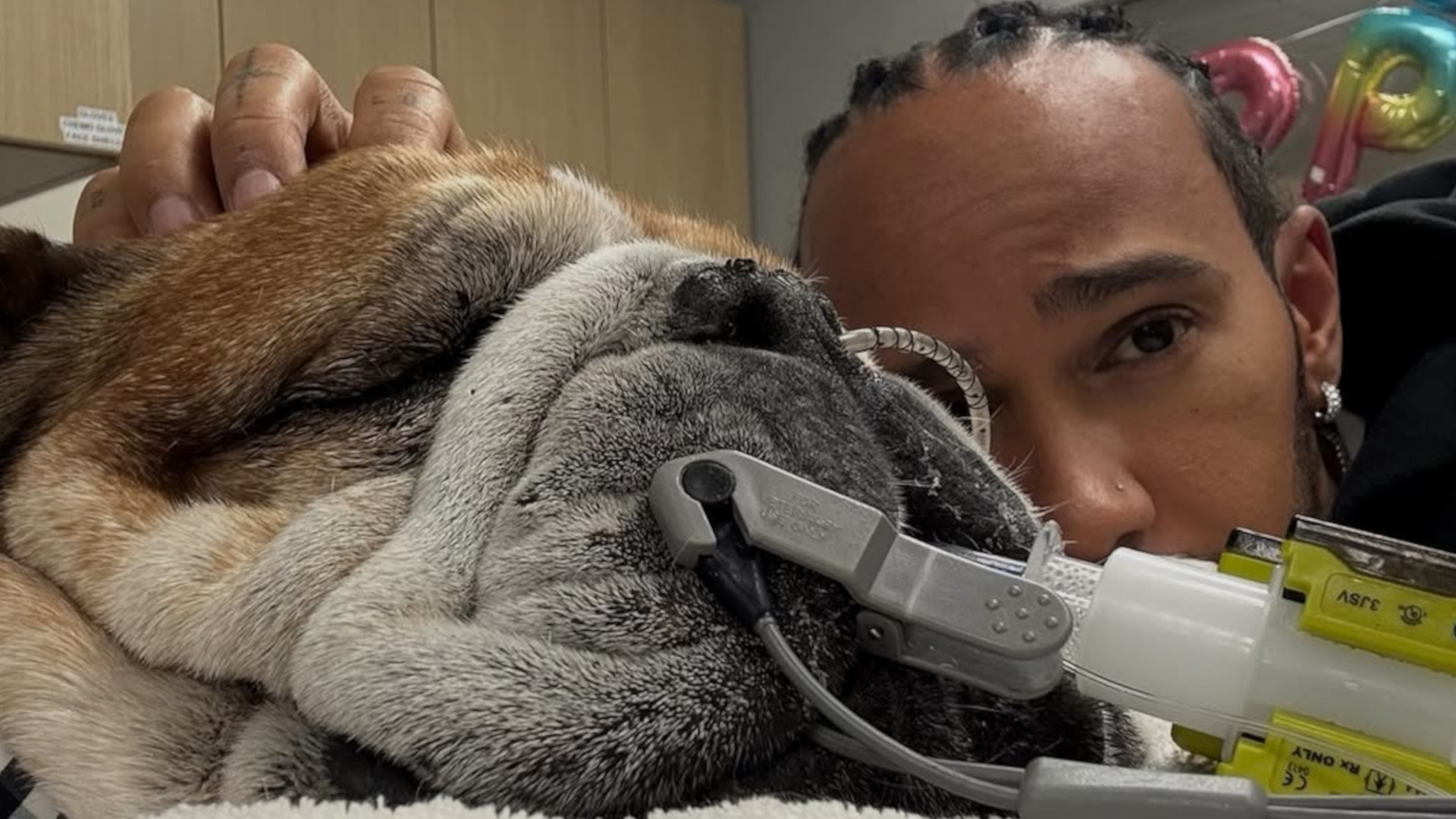 Lewis Hamiltons hund Roscoe ligger i koma: Formel 1-mästaren delar med sig av ett hjärtligt meddelande