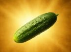 Rysslands "gyllene gurkor" och hur en stapelvara blev en symbol f&ouml;r krigstidens inflation