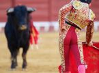 Mexico City förbjuder traditionella tjurfäktningar