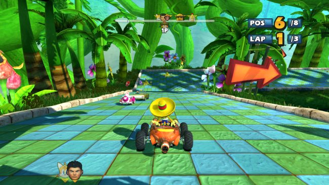 Sonic & Sega All-Stars Racing
