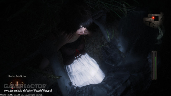 Fatal Frame II: Crimson Butterfly Remake