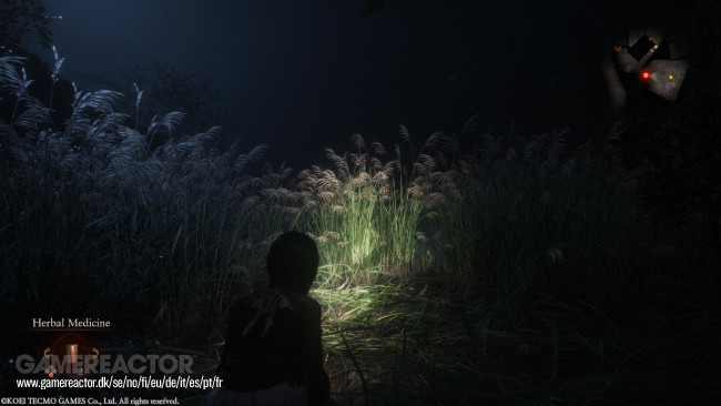 Fatal Frame II: Crimson Butterfly Remake