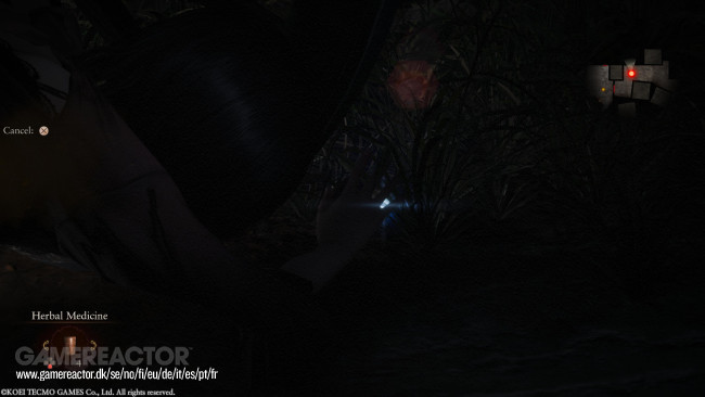 Fatal Frame II: Crimson Butterfly Remake