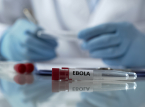 Trots ebolautbrottet &auml;r DR Kongos deltagande i VM inte i fara