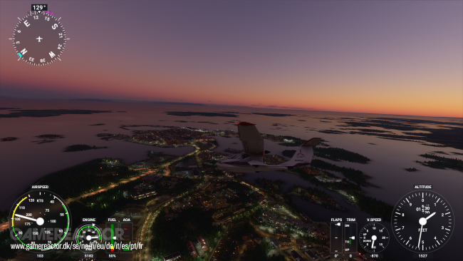Microsoft Flight Simulator